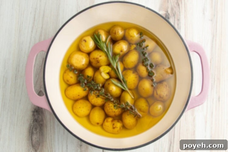 Baby potatoes with aromatics and garlic submerged in olive oil in a large pot.