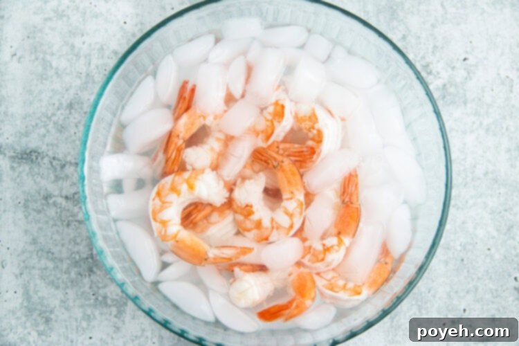 Poached shrimp being transferred into an ice bath for cooling.