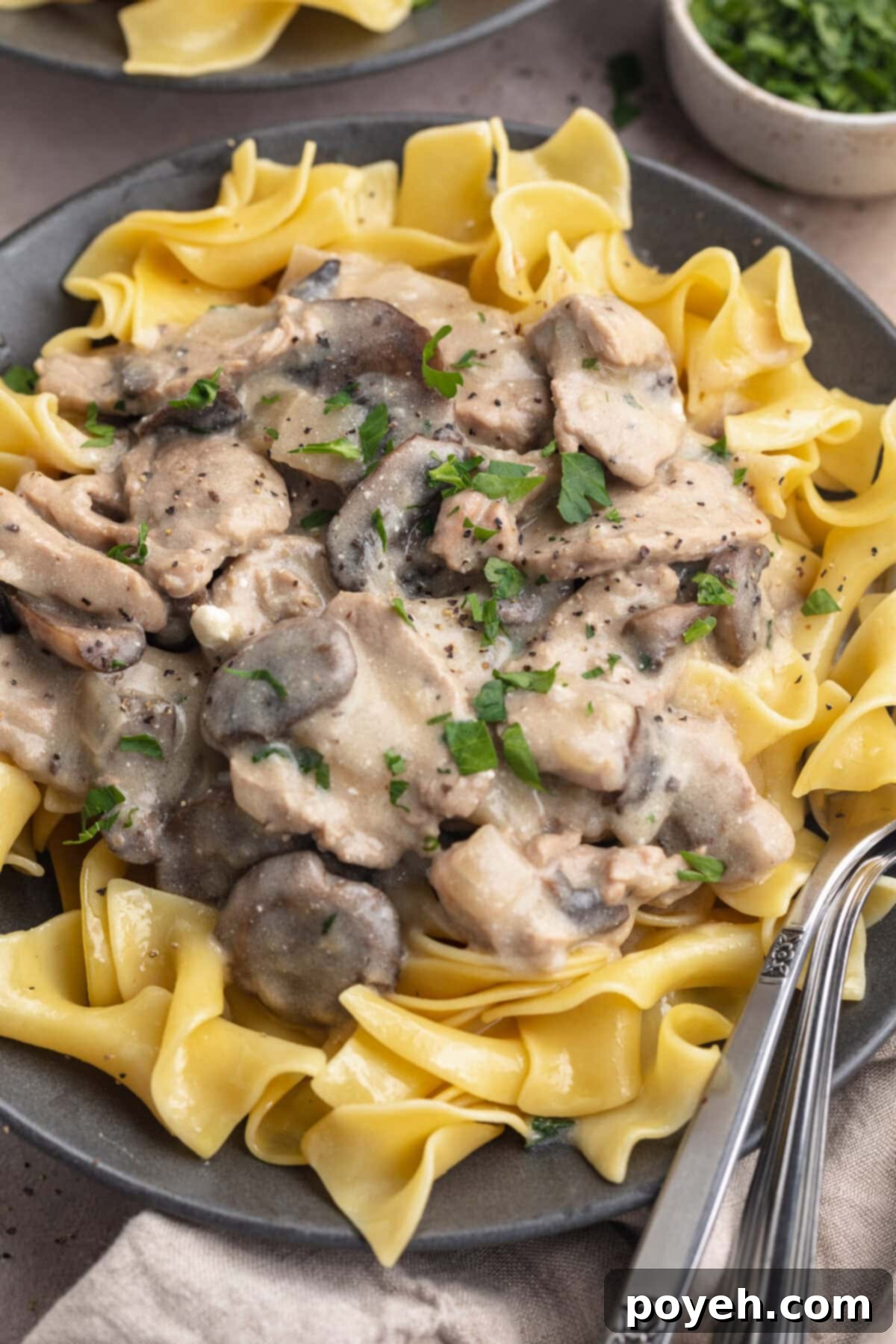 Creamy pork stroganoff with chopped mushrooms, tender pork, fresh green herbs, and pale yellow egg noodles in a dark grey bowl, garnished with fresh parsley.