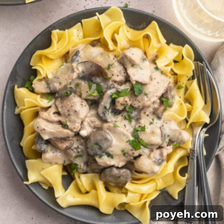 Zoomed out overhead photo of savory pork stroganoff in a dark grey bowl with egg noodles and fresh herbs.
