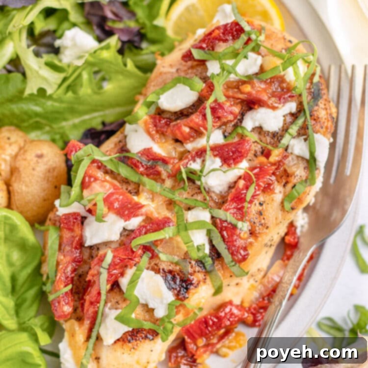 Top-down view of a chicken bryan chicken breast on a plate with baby potatoes and a small salad.