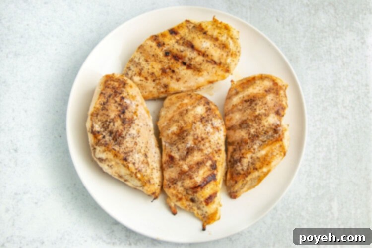 Grilled chicken breasts on a round white plate.