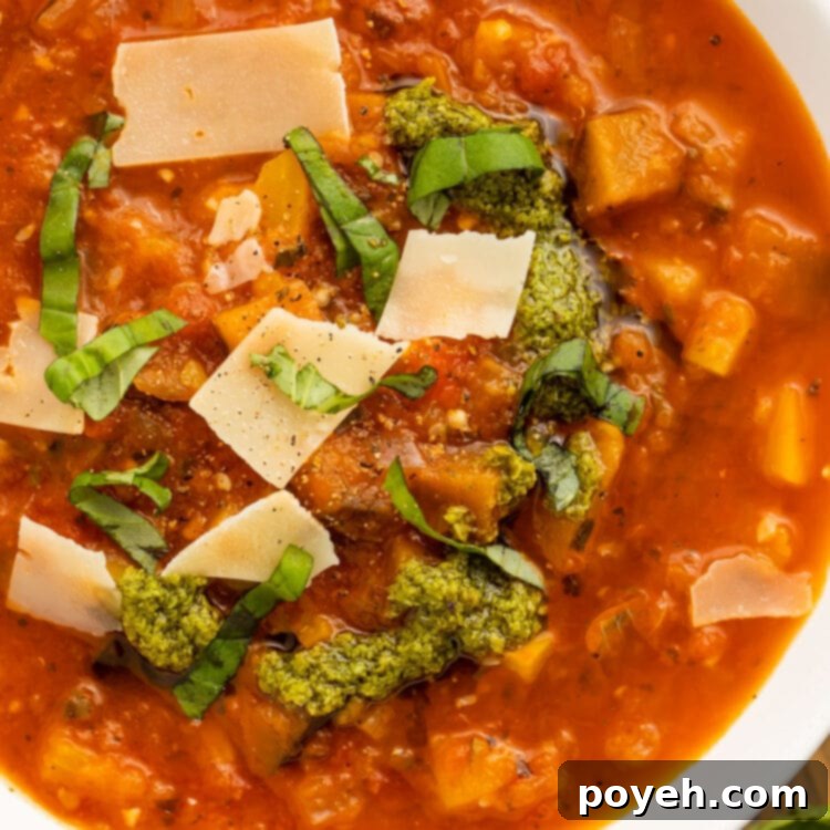 Close-up of a bowl of ratatouille soup topped with fresh basil leaves and parmesan.
