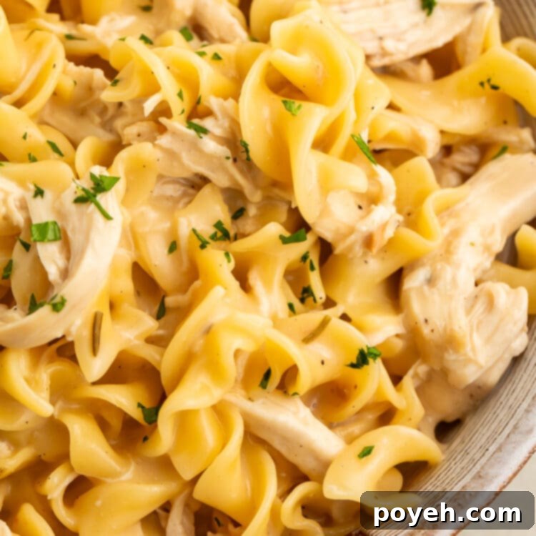 Quick & Cozy Instant Pot Chicken Noodles 4 Instant Pot chicken and noodles in a large white bowl, shot close-up to show the chunks of chicken and twisty noodles.