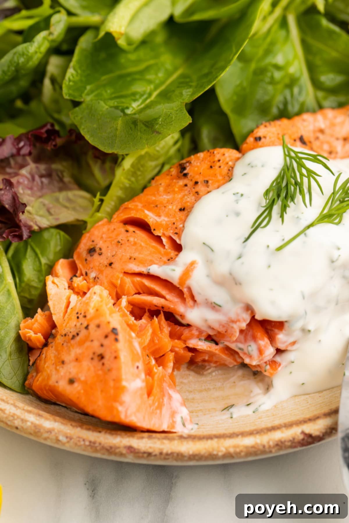 A salmon fillet, cooked in the air fryer, plated with a small green salad and a dollop of creamy dill sauce.