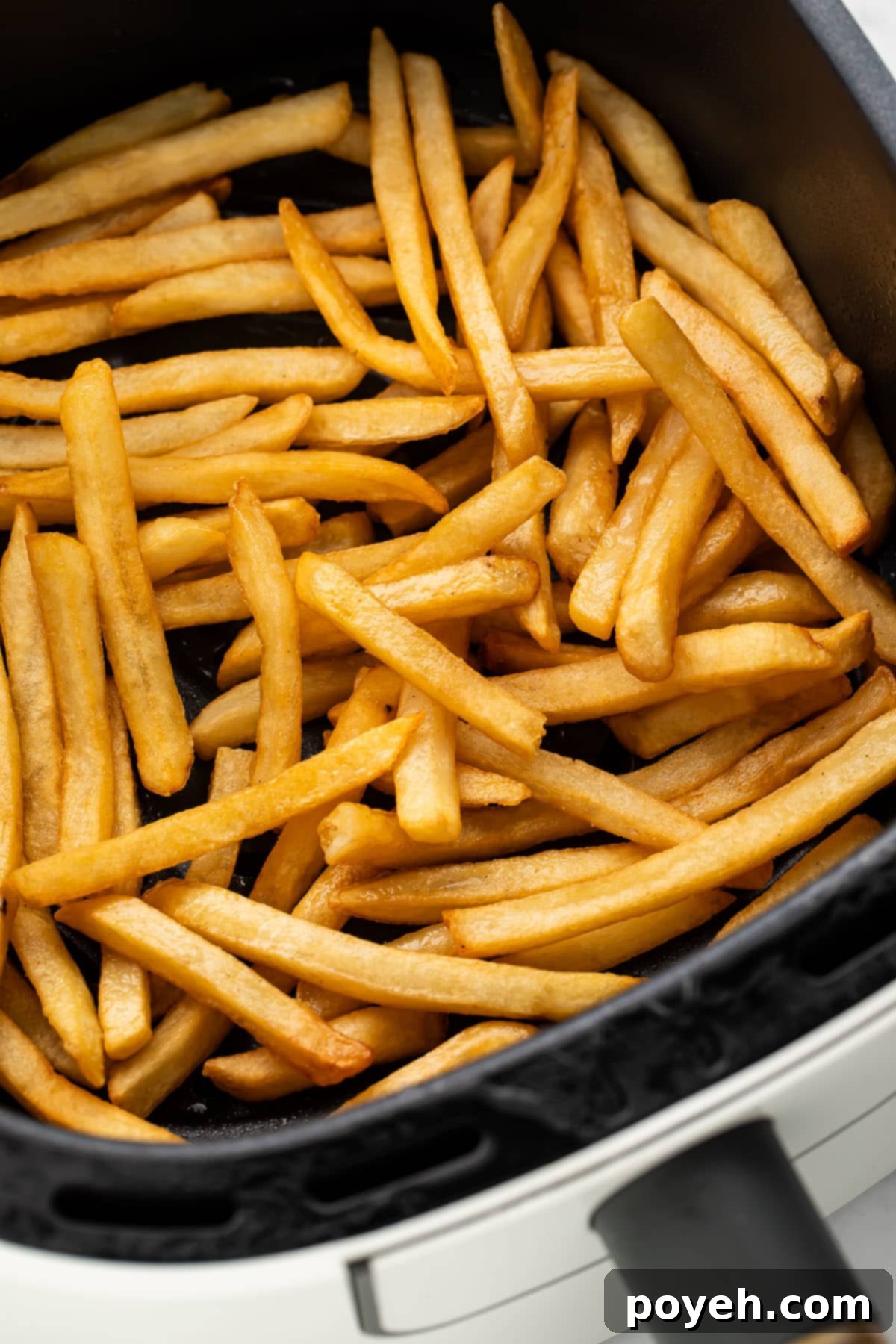 Reheated french fries in an air fryer basket, perfectly golden and crispy.