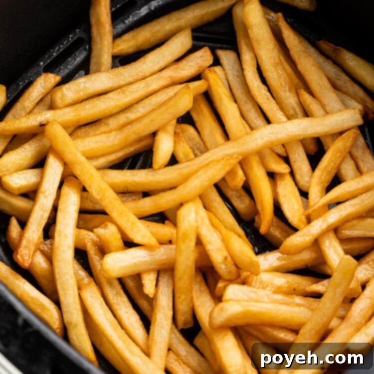 Reheated french fries in an air fryer basket, ready to be served.