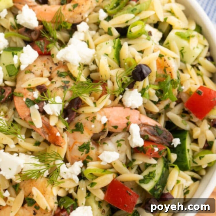 Close-up of a bowl of Greek shrimp salad with orzo, showcasing the vibrant colors and fresh ingredients like shrimp, feta, olives, and herbs, ready to be served.