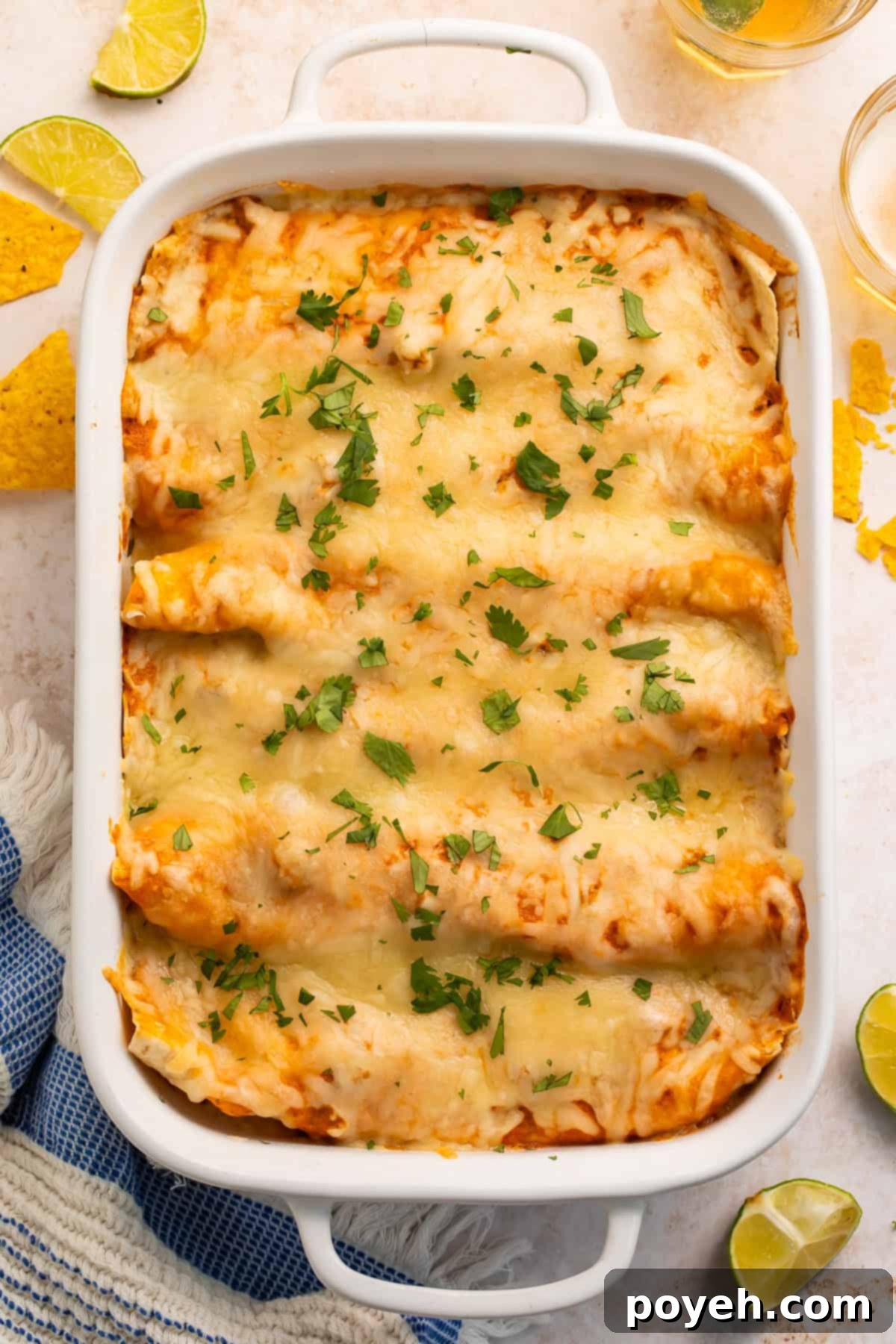 A beautiful overhead shot showcasing a white baking dish filled with freshly baked creamy chicken enchiladas, their tops golden and bubbling with melted cheese. The presentation is inviting, highlighting the deliciousness of the ready-to-serve meal.
