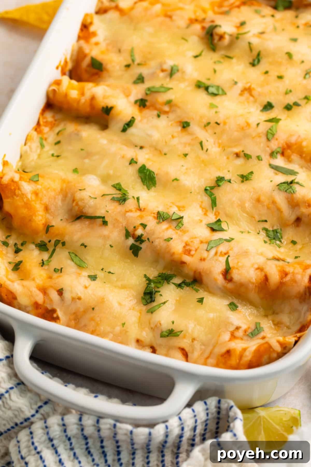 An enticing close-up view of a baked pan of creamy chicken enchiladas, showcasing abundant melted, golden-brown cheese bubbling enticingly on top of the perfectly cooked tortillas. The textures and colors are rich and inviting.