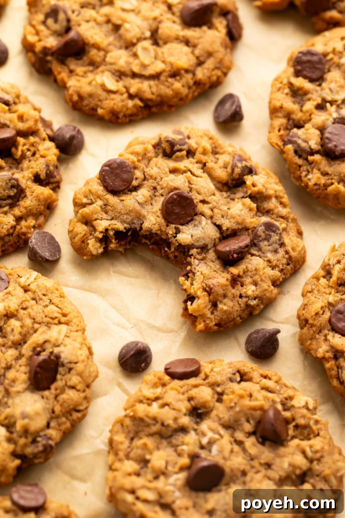 Vegan oatmeal chocolate chip cookies arranged on a sheet of parchment paper. The centermost cookie has one bite taken out of it.