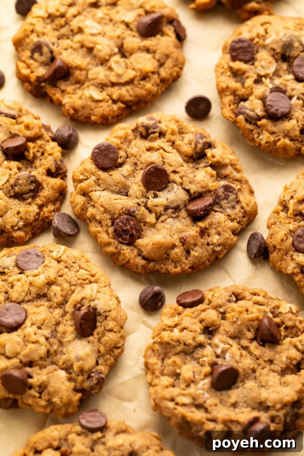 Vegan oatmeal chocolate chip cookies arranged on a sheet of parchment paper. 