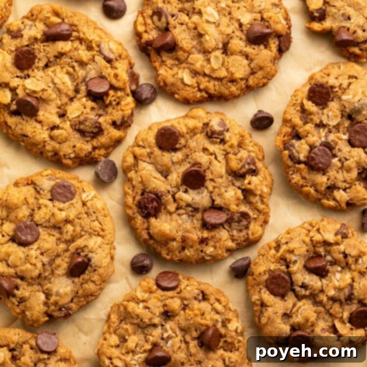 Vegan oatmeal chocolate chip cookies arranged on a sheet of parchment paper.