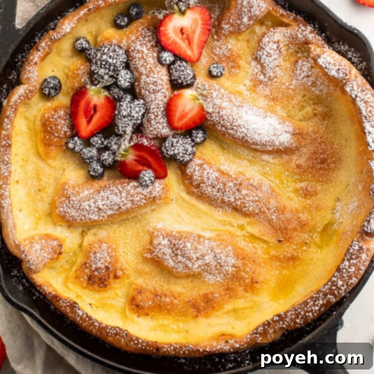 Dutch baby pancake in a cast iron skillet dusted with powdered sugar and topped with fresh berries.