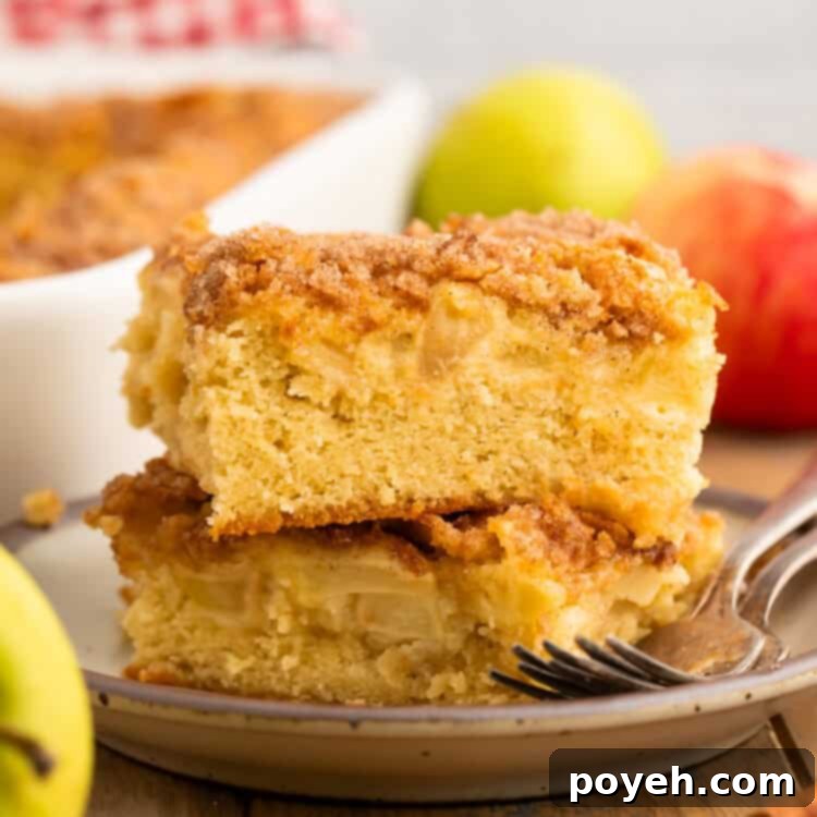 Slice of apple cake with a cinnamon sugar topping on a grey plate, with the pan of cake and fresh apples in the background.