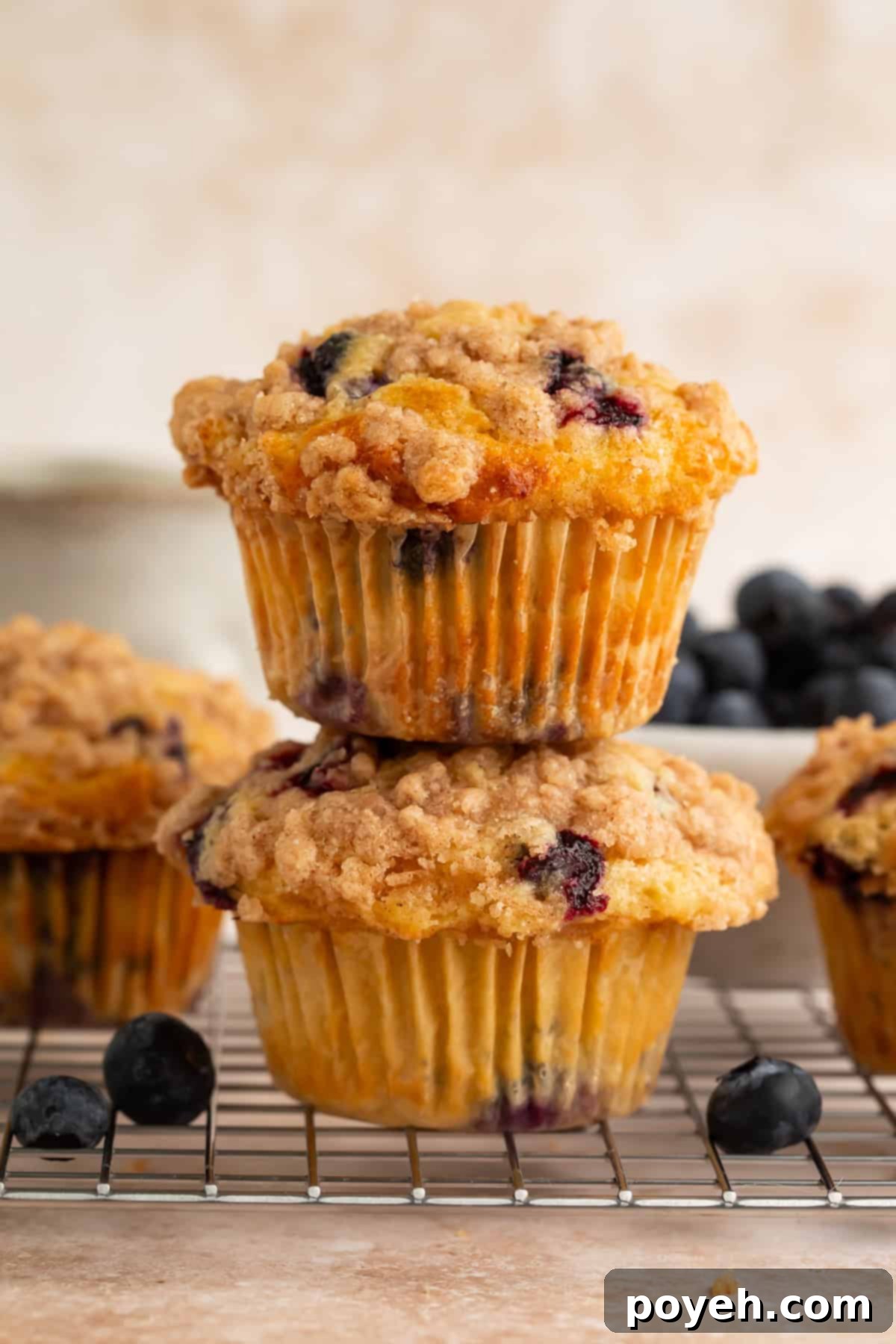 Two golden-brown high protein blueberry muffins stacked on a wire cooling rack, showcasing their fluffy texture and delicious crumb topping.