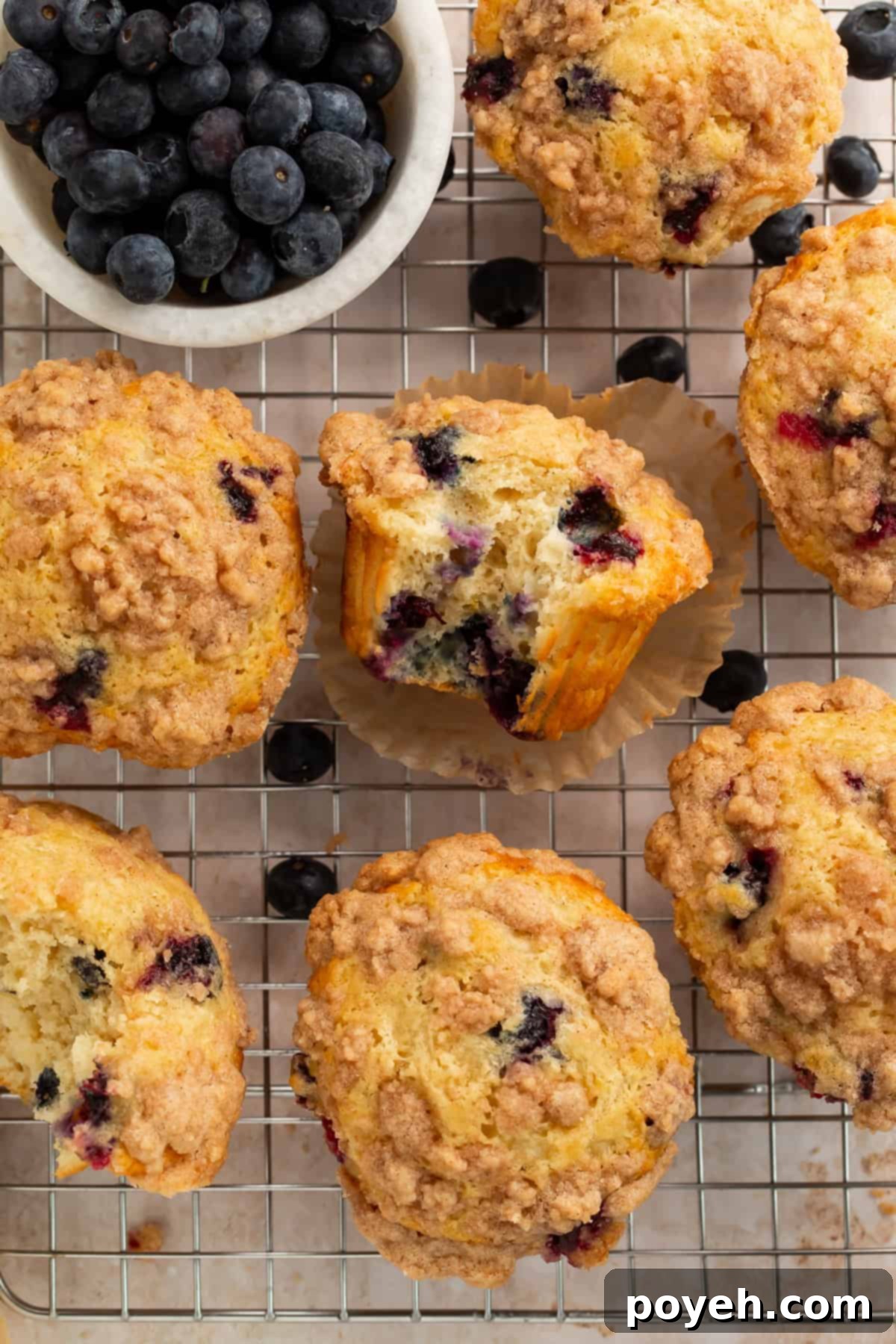 Close-up of freshly baked blueberry muffins cooling on a wire rack, with vibrant blueberries visible and a bowl of fresh blueberries beside them.