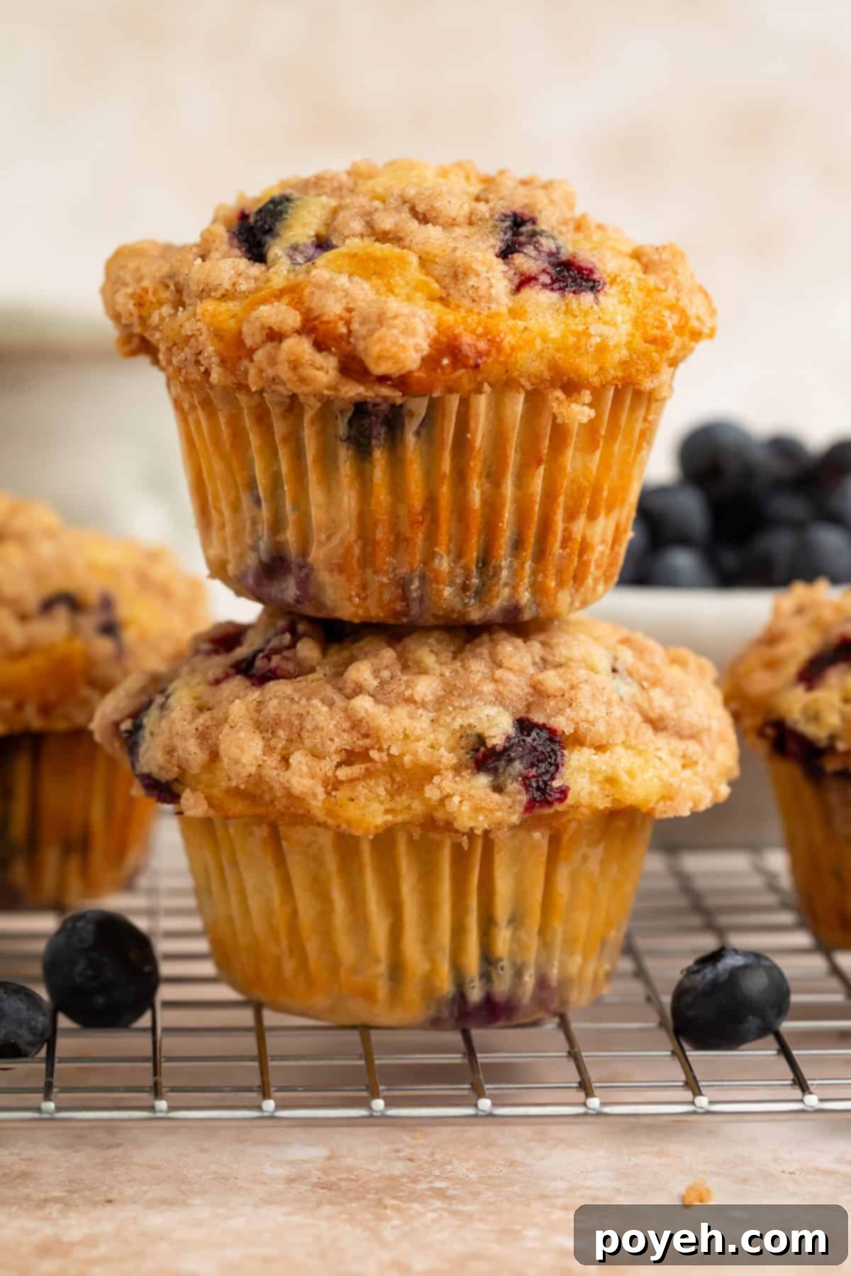 Two blueberry muffins on a wire rack stacked on top of each other, with a third muffin visible in the background, all perfectly golden with a crumbly topping.