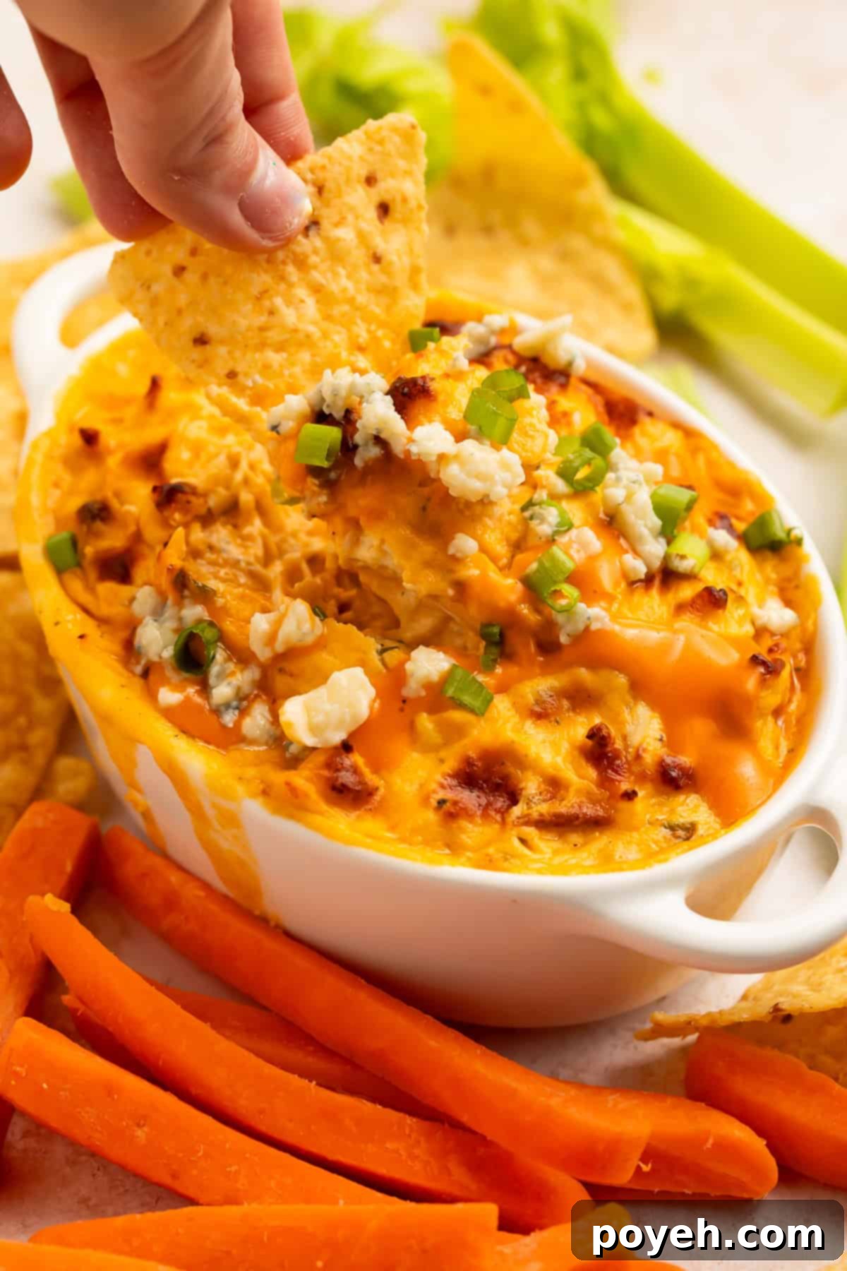 A crispy tortilla chip scooping a generous portion of creamy buffalo chicken dip.