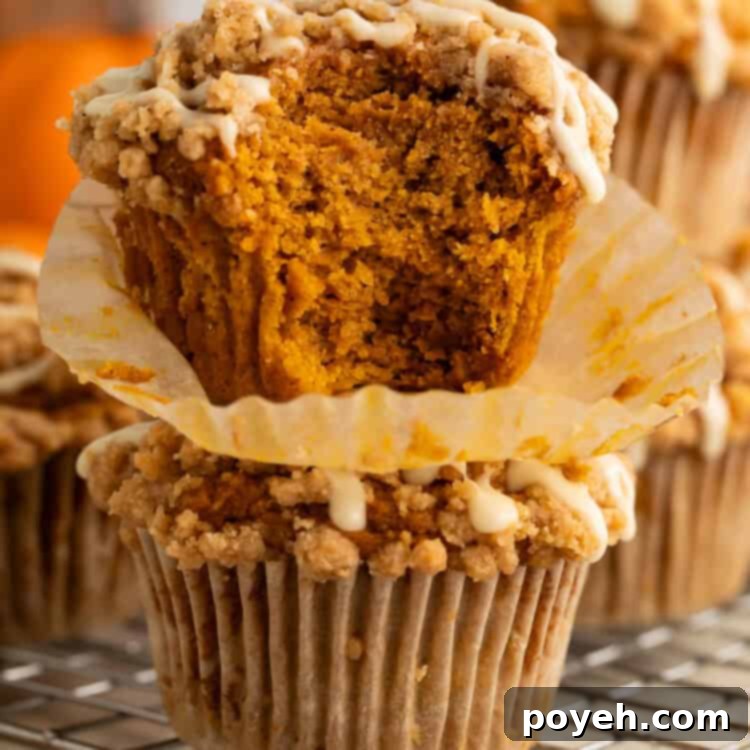 Two pumpkin muffins stacked on top of each other. A bite has been taken out of the top one to show the inside.
