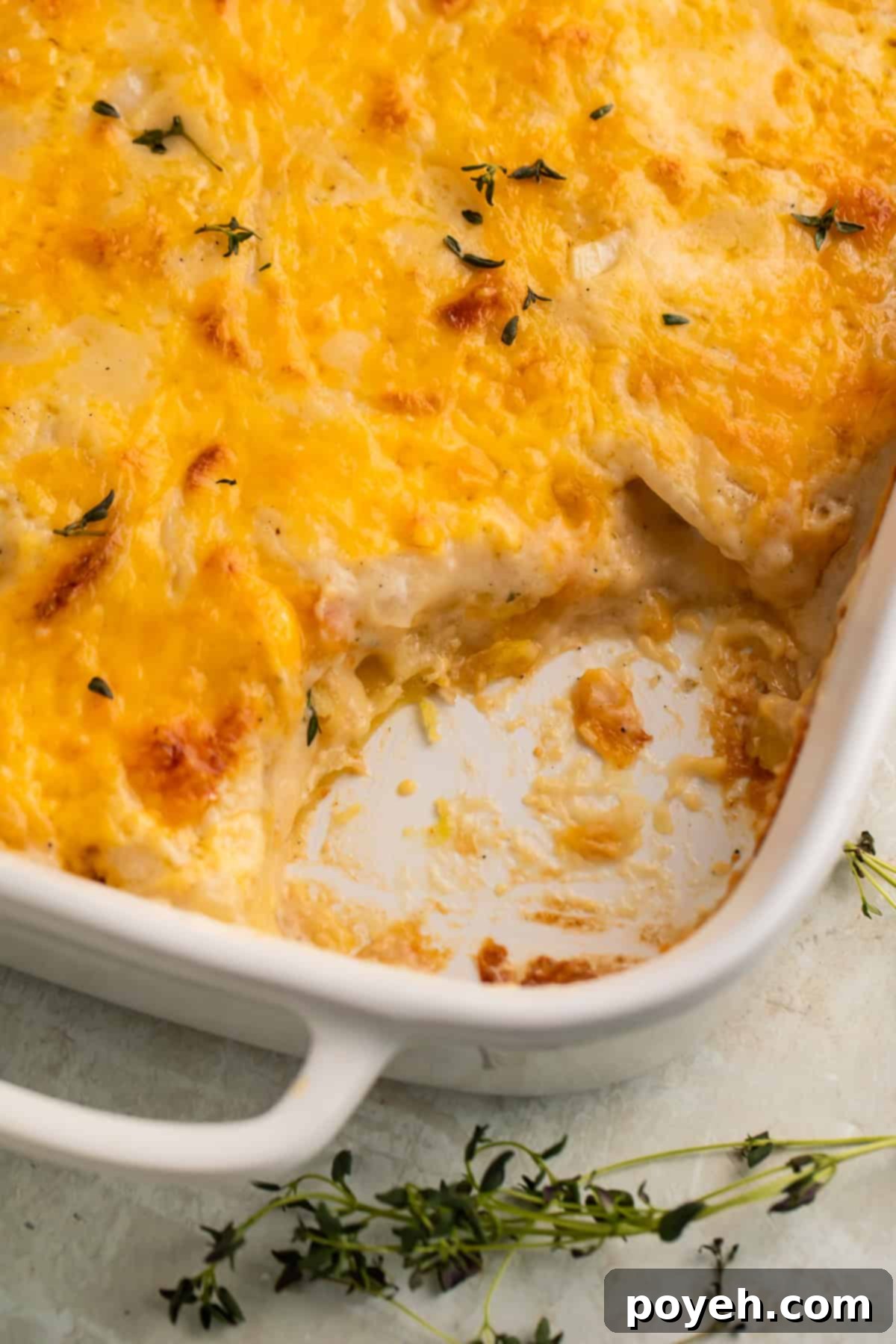 Close up of a dish of scalloped potatoes with a spoonful taken out to show the middle.