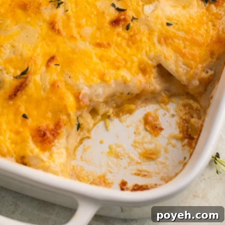 Close up of a dish of scalloped potatoes with a spoonful taken out to show the middle.