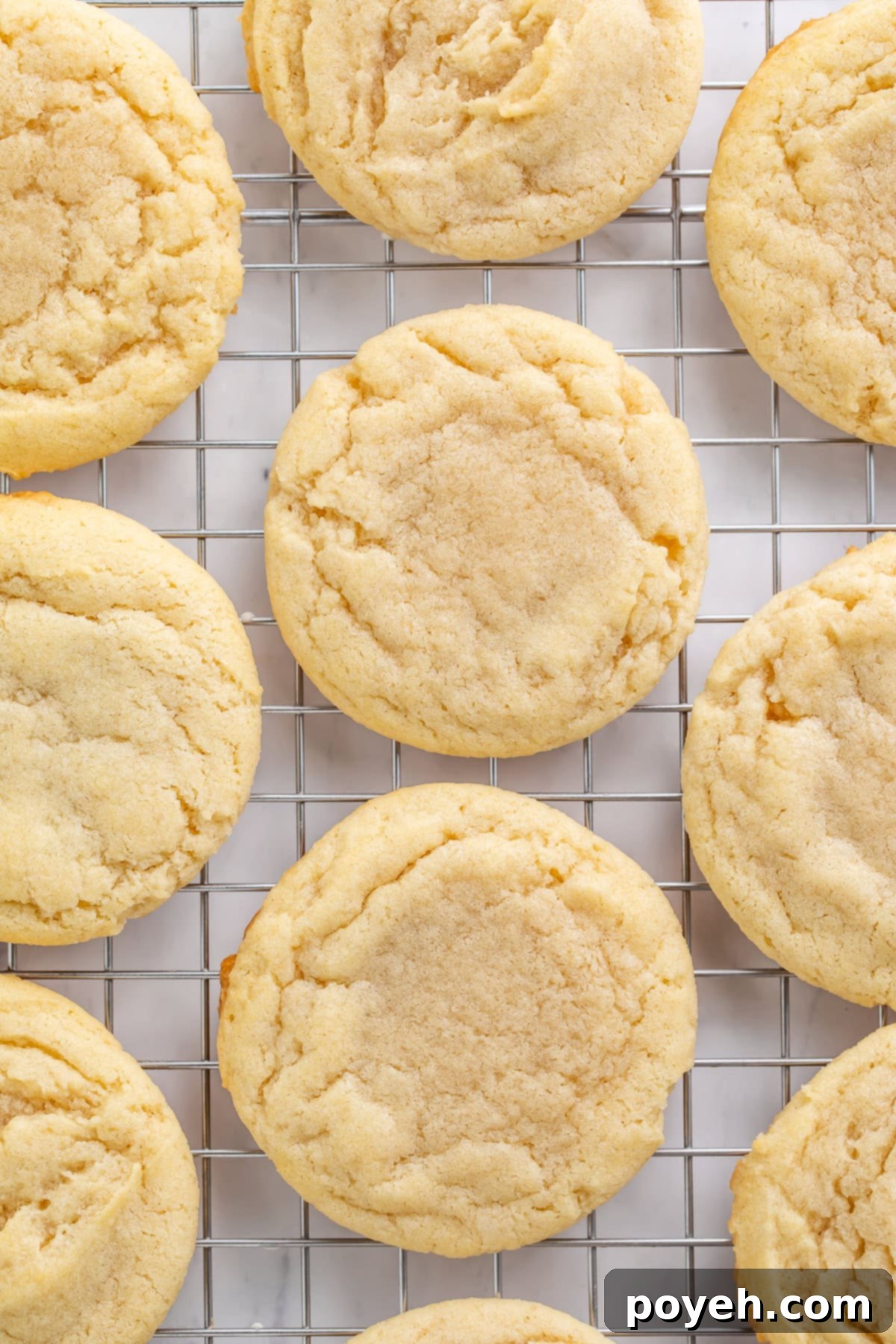 Vegan sugar cookies cooling on a wire rack, ready for frosting.