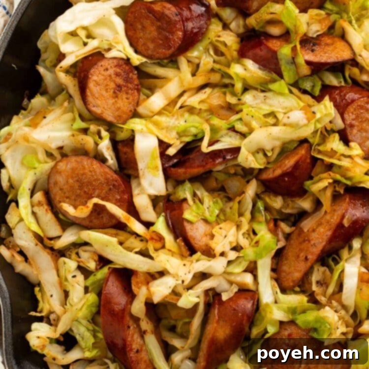 Kielbasa and cabbage in a large skillet, presented beautifully.