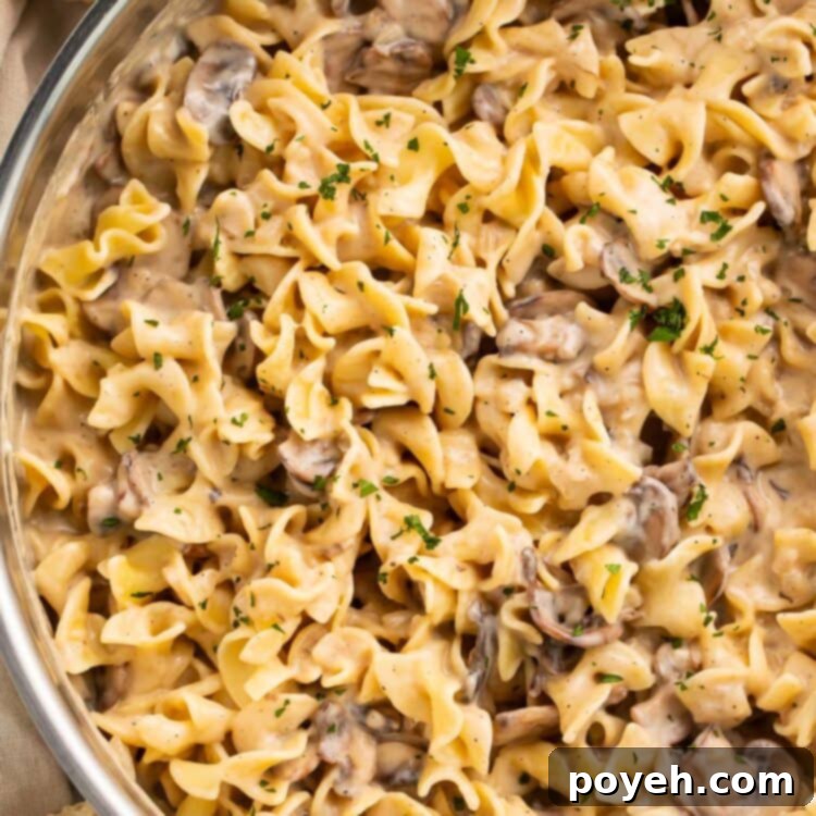 A large stainless skillet holding mushroom stroganoff made with egg noodles and pieces of baby bella mushrooms.