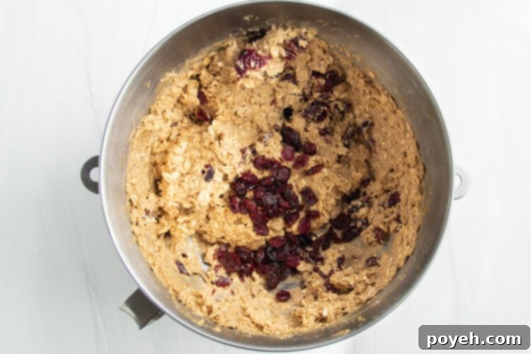 Overhead view of rehydrated cranberries added to a large silver stand mixer bowl containing oatmeal cookie dough, ready to be folded in.