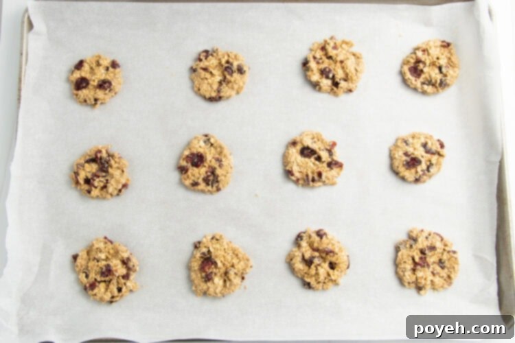 Small, unbaked cranberry oatmeal cookie discs neatly lined 3x4 on a parchment-paper-lined baking sheet, ready for the oven.