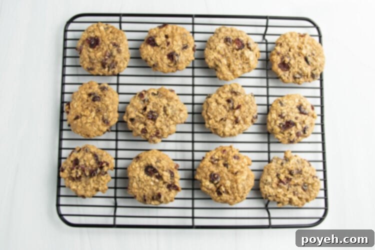 Overhead view of freshly baked cranberry oatmeal cookies cooling on a wire rack after being removed from the oven.