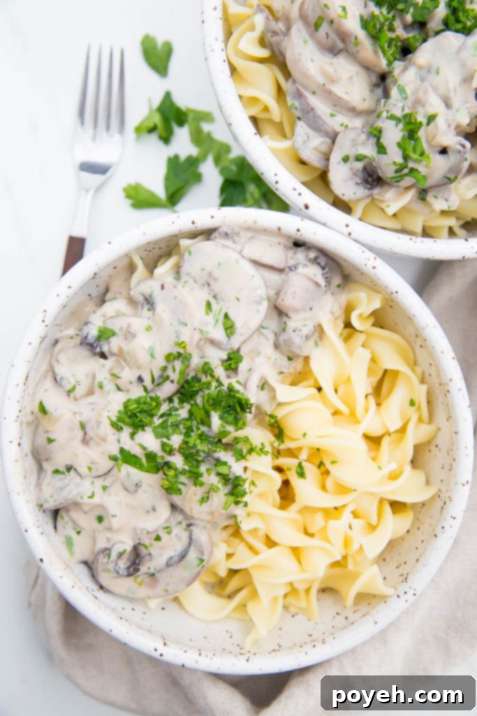 A hearty bowl of creamy vegetarian mushroom stroganoff with wide pasta noodles, garnished with fresh parsley, highlighting savory mushrooms in a rich sauce.