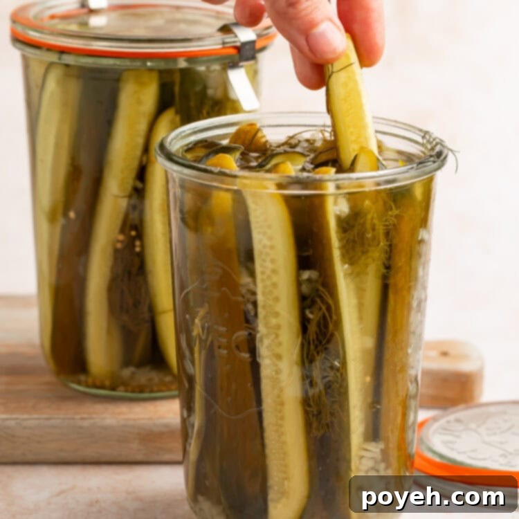 A hand taking a long cucumber pickle spear out of a jar of homemade pickles. Another jar sits in the background.