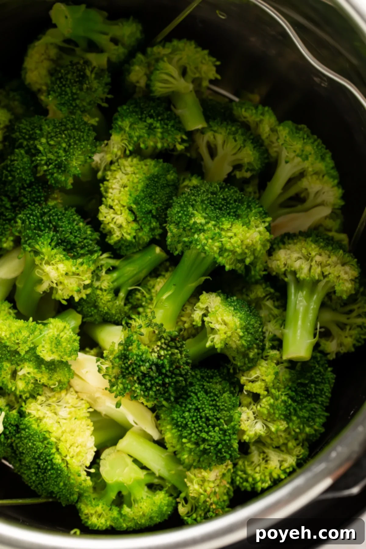 Close up of steamed broccoli in the Instant Pot.