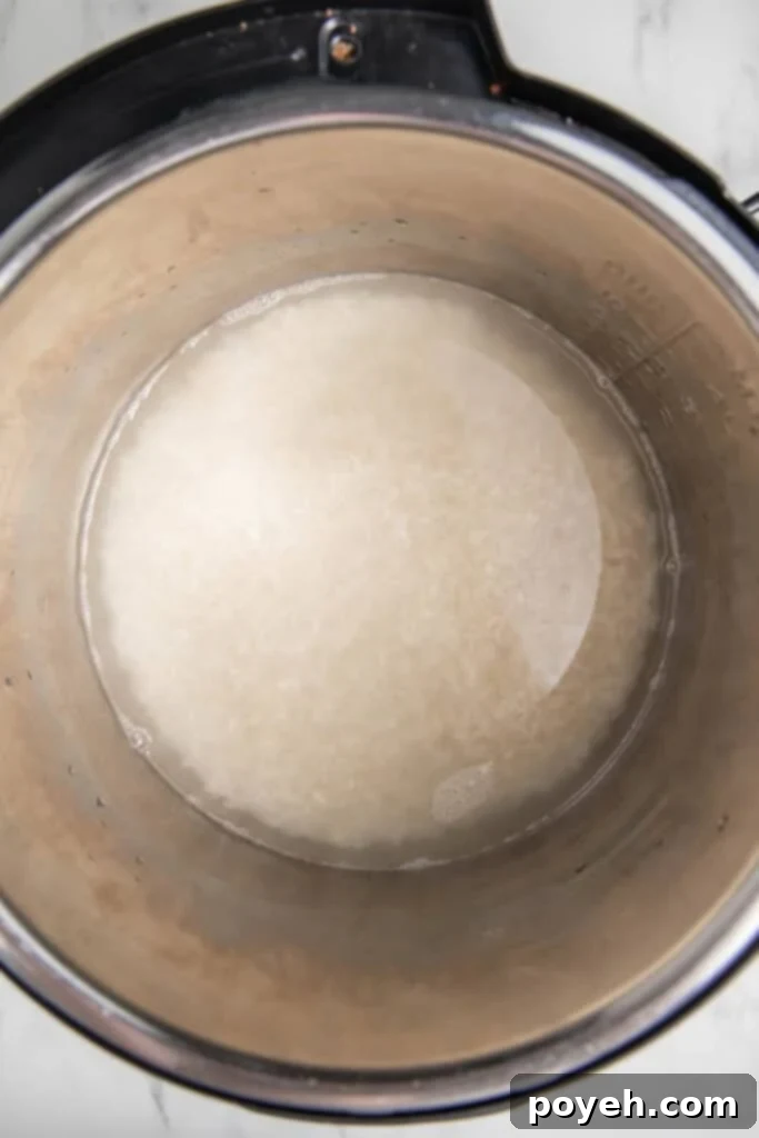 Perfect Instant Pot Basmati Rice 3 Rice in Instant Pot