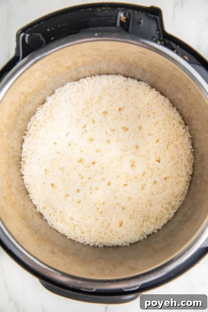 Perfect Instant Pot Basmati Rice 4 Rice in Instant Pot