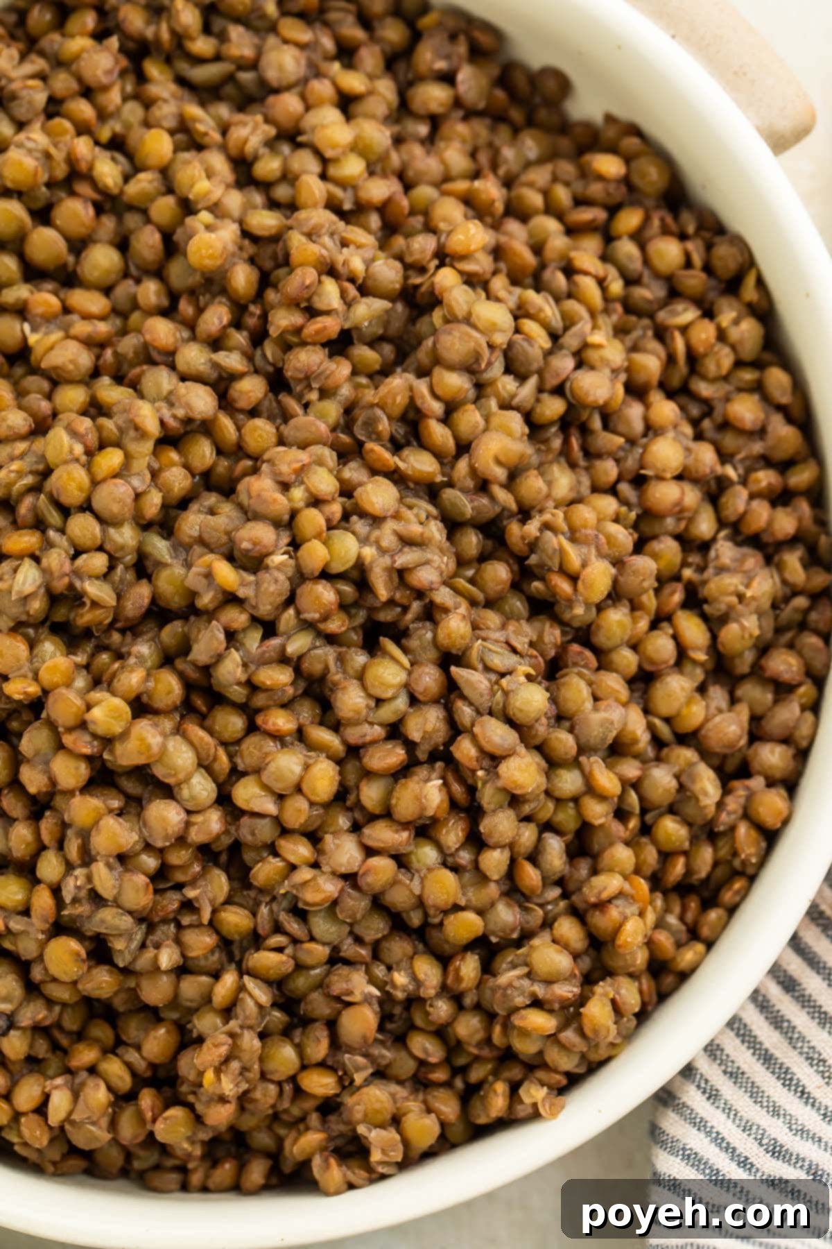 A large bowl of perfectly cooked French green lentils, garnished with fresh herbs, resting on a rustic wooden table alongside a striped dish towel, inviting a warm and wholesome meal experience.