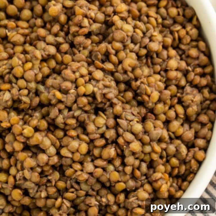 A large bowl of perfectly seasoned French green lentils, ready to serve, on a table with a striped dish towel. This image is for the Simple French Green Lentils Recipe.