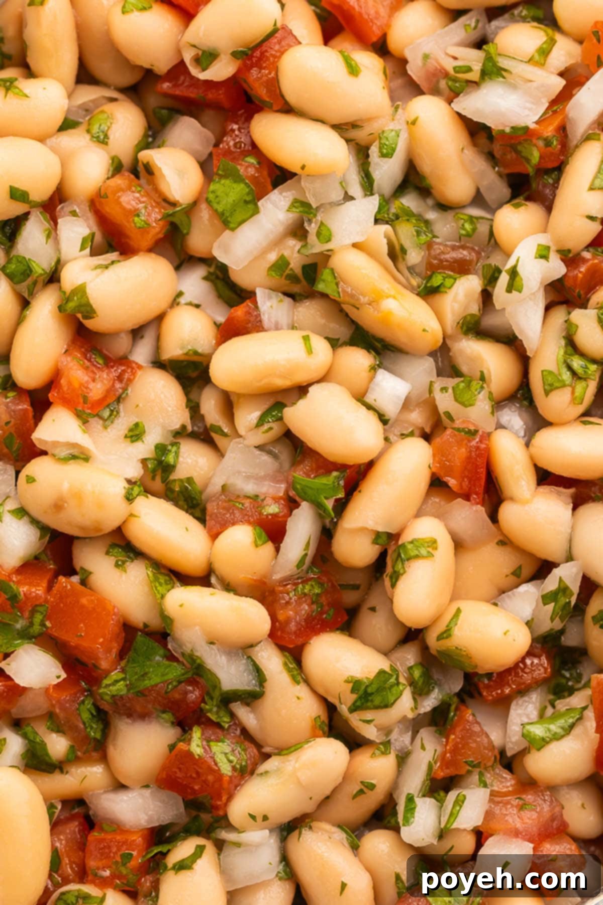 Mediterranean White Bean Salad 4 A close-up, dynamic shot of a white bean salad in a bowl, with the distinct textures of beans, diced tomatoes, thinly sliced onions, and chopped parsley clearly visible, coated in a bright, savory vinaigrette, ready to be served.