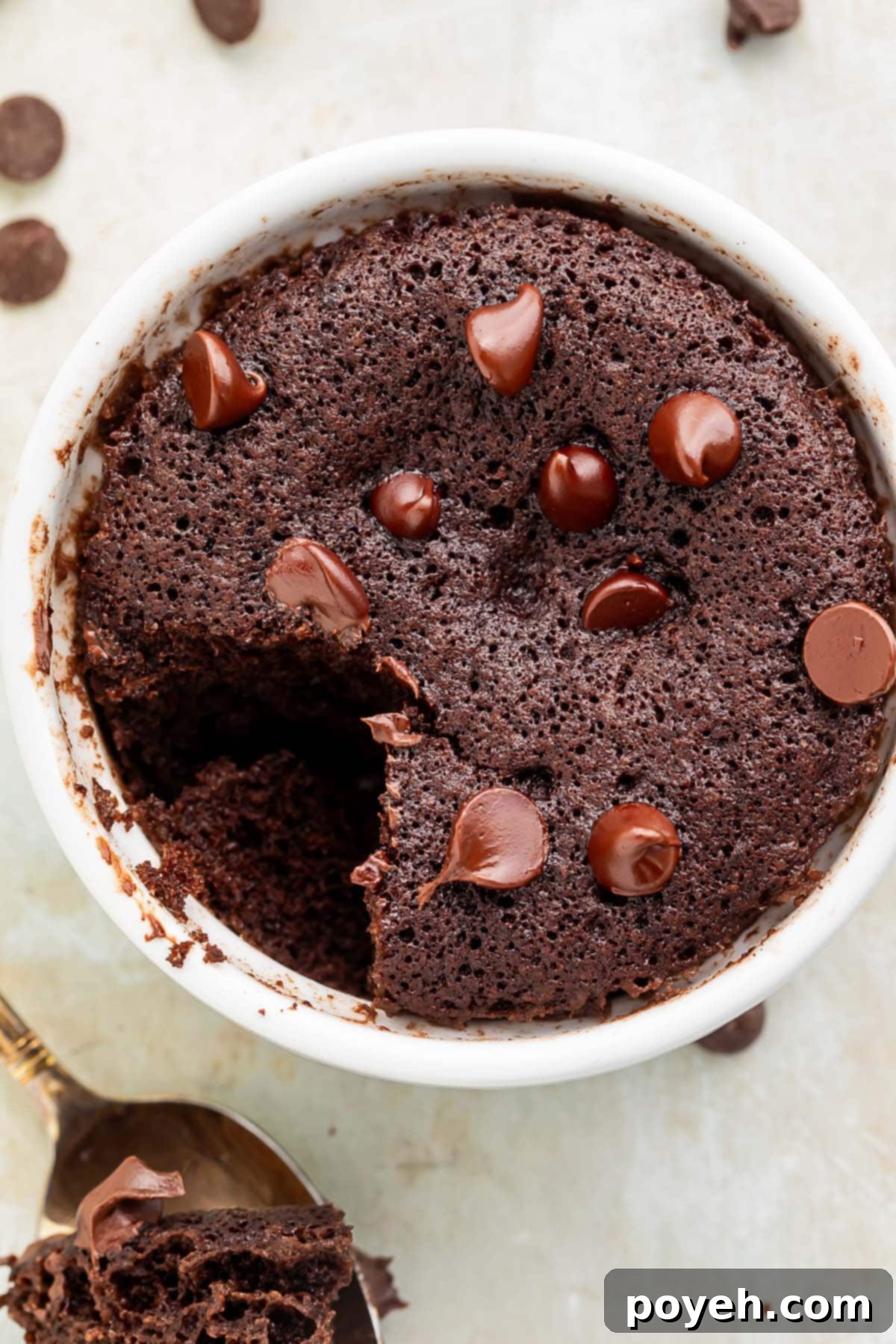 Instant Keto Brownie Bliss 3 A keto mug brownie topped with keto chocolate chips in a white coffee mug. A spoonful of brownie is missing from the mug.