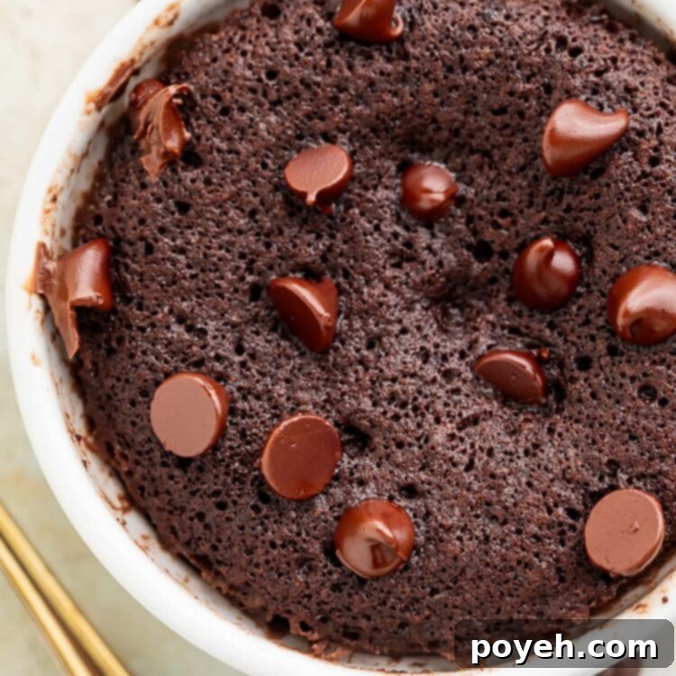 Instant Keto Brownie Bliss 4 Close-up on a keto mug brownie topped with keto chocolate chips in a white coffee mug.