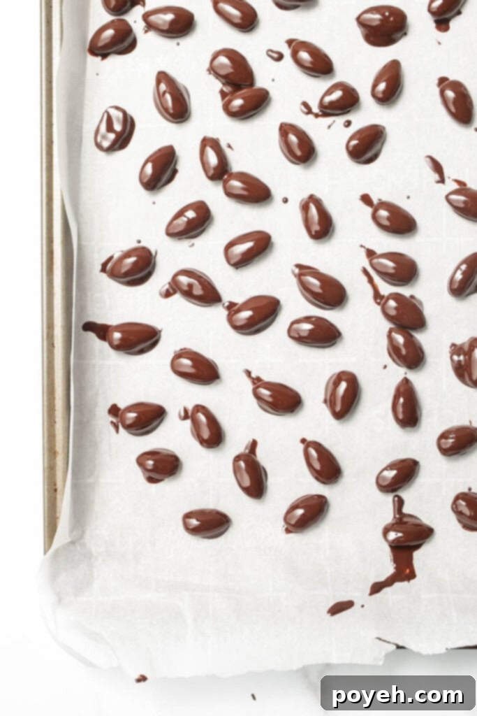 Decadent Chocolate Almonds 4 Chocolate covered almonds chilling on a baking sheet.