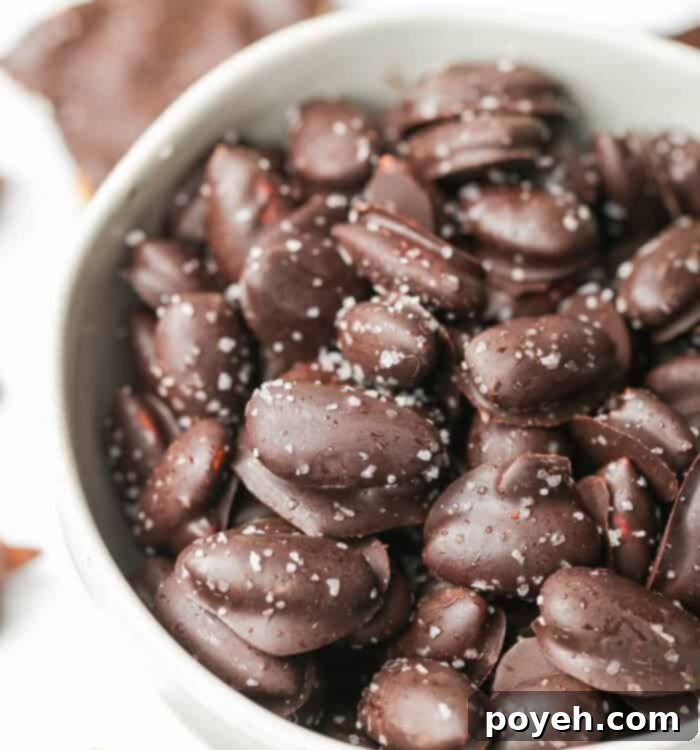 Decadent Chocolate Almonds 6 Chocolate Covered Almonds