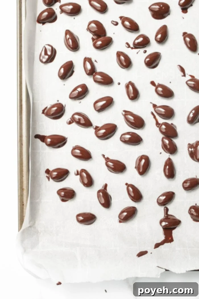 Decadent Chocolate Almonds 8 Chocolate covered almonds chilling on a baking sheet, ready to harden.