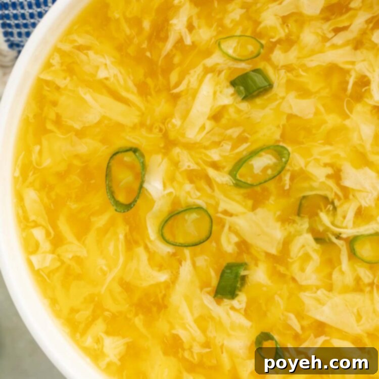 Close-up of a bowl of keto egg drop soup topped with sliced green onions.