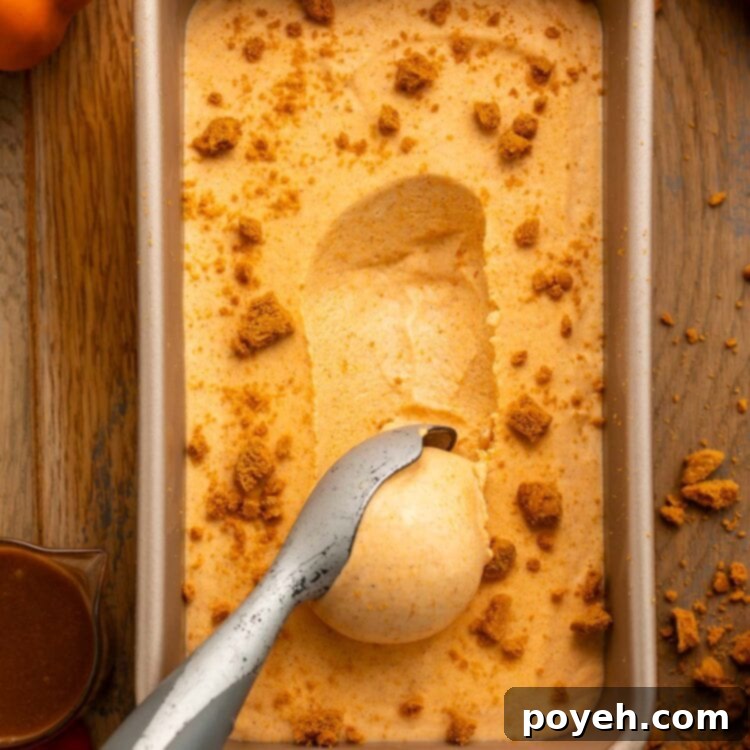 A loaf pan of creamy pumpkin ice cream, with a line of ice cream being scooped from the center of the pan. A silver ice cream scoop holding the scooped ice cream rests on the pan.