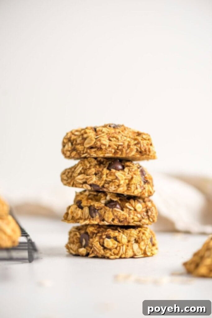 Healthy pumpkin oat cookies
