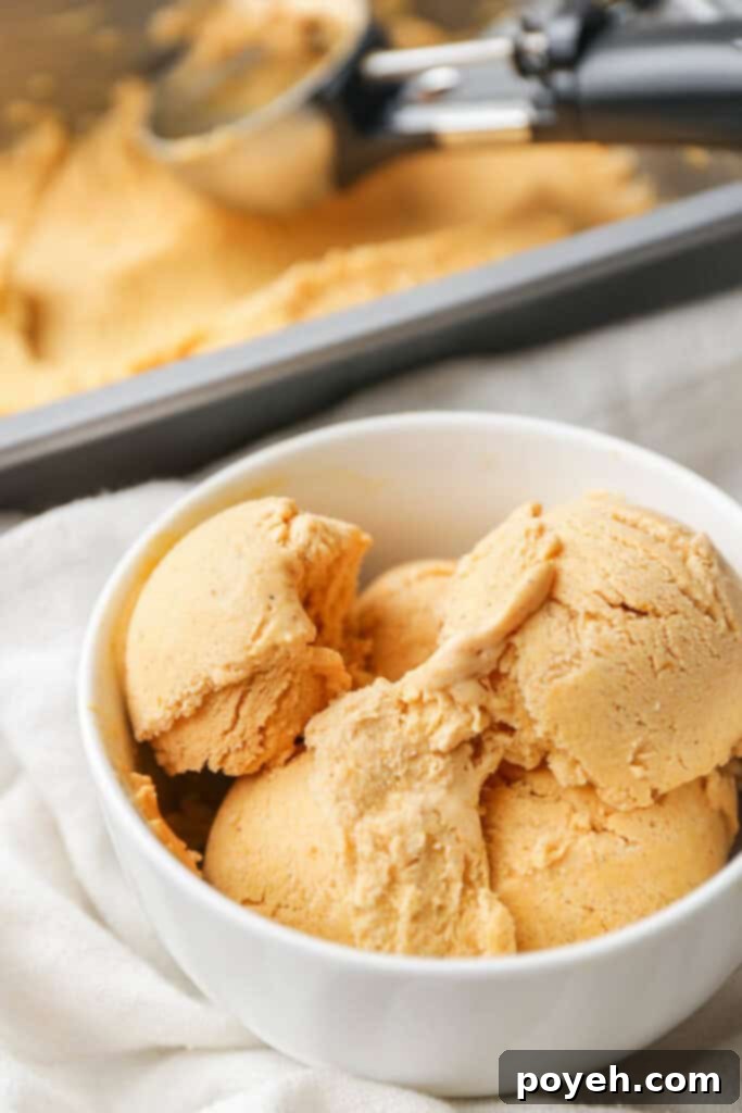 A bowl of pumpkin ice cream