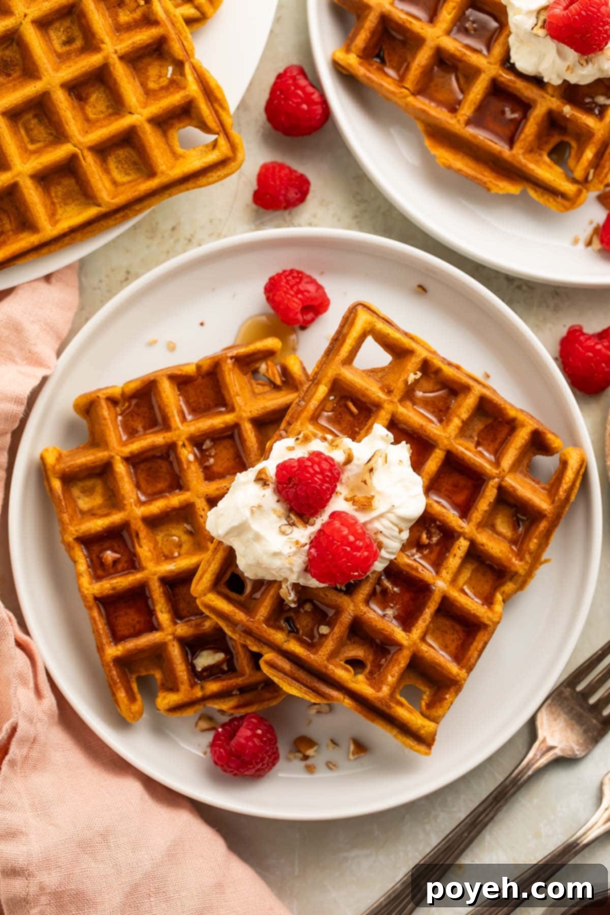 Two square sweet potato waffles topped with whipped cream and raspberries on a white plate, ready to be served.